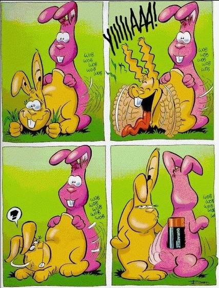 Lapin